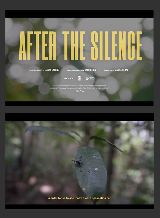 After the Silence Documentary
