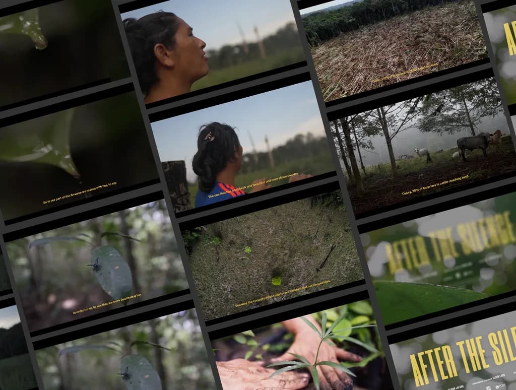 After the Silence Documentary