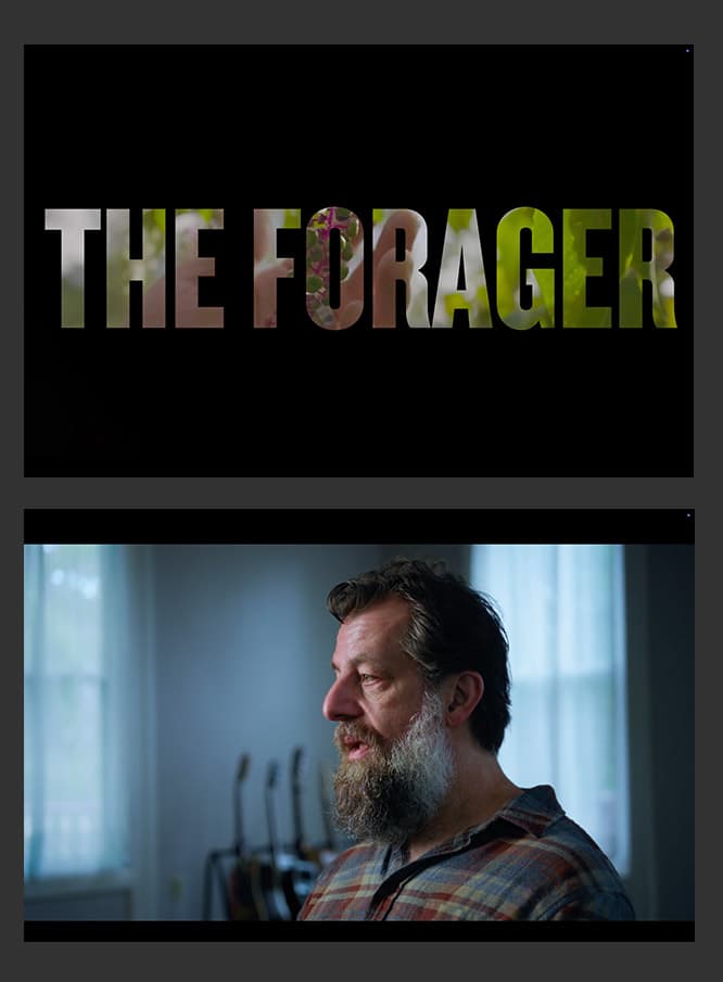 The Forager Branded Documentary