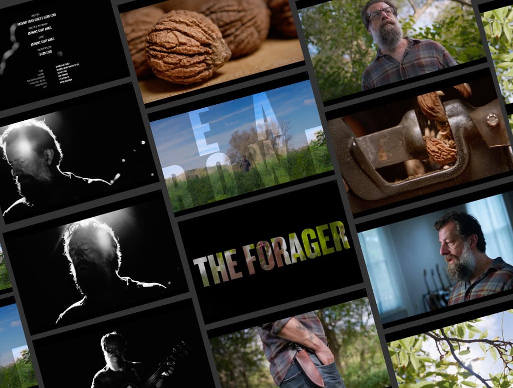 The Forager Branded Documentary